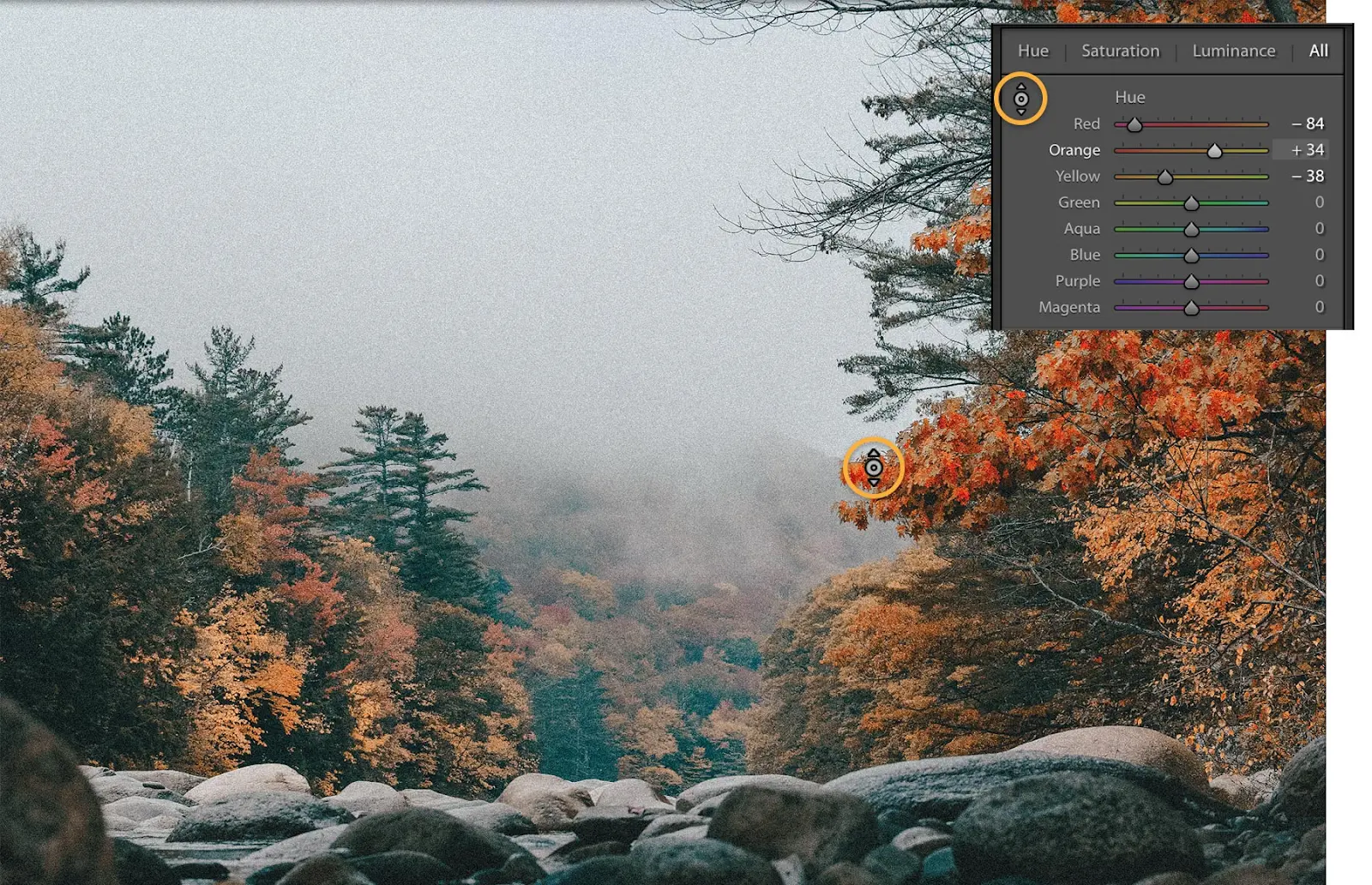 Adjust the hue, saturation, or lightness of a specific color in your photo.