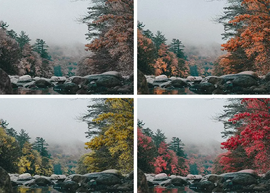 Adjust the hue, saturation, or lightness of a specific color in your photo.