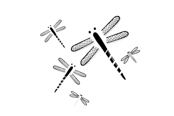 hand drawn illustration of dragonfly collection in simple icon drawing