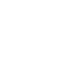 100 Cameras logo