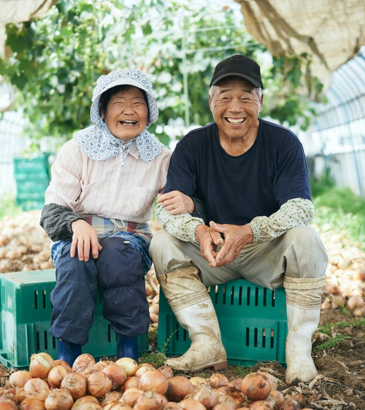 A couple smiling in front of the harvested onions