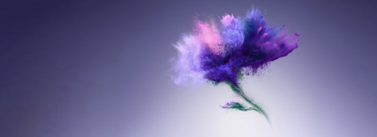 Explosion of blue and purple powder in flower shape on purple backdrop.