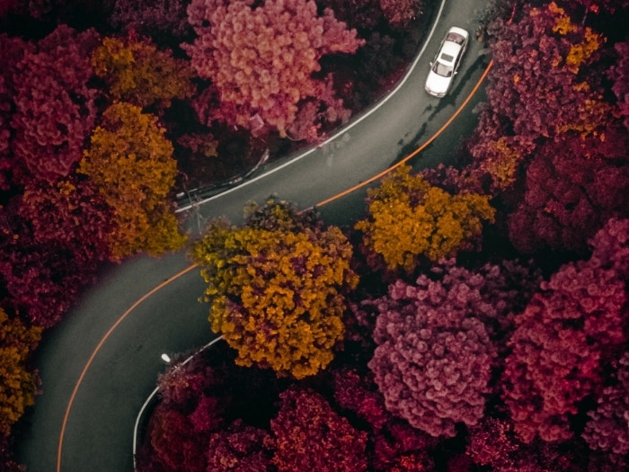 Bird's eye angle shot of white car on curving road through trees in dramatic red and fall colors.
