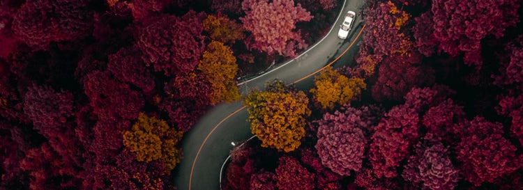 Bird's eye angle shot of white car on curving road through trees in dramatic red and fall colors.