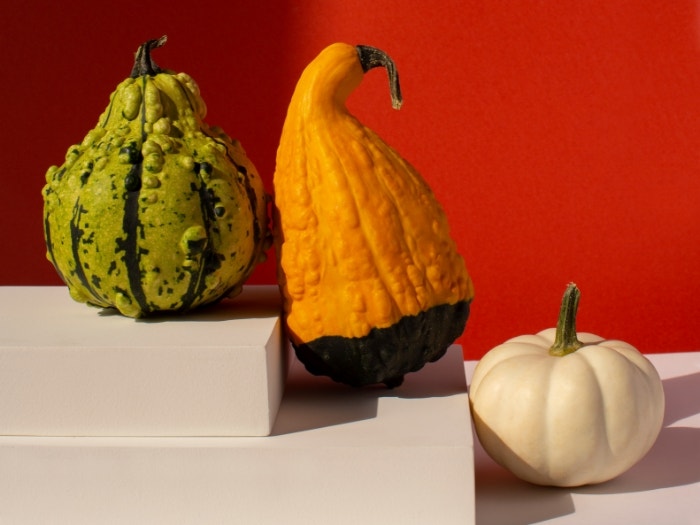 Still-life display. Three fall gourds (green, orange, white) on staging blocks in dramatic lighting with red backdrop.
